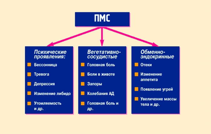 estet-pmc-min